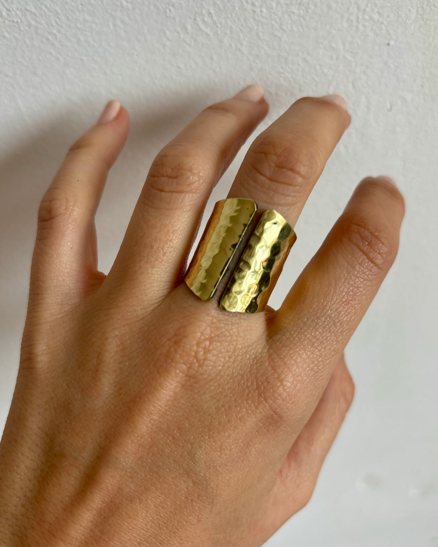 Anillo Pausa