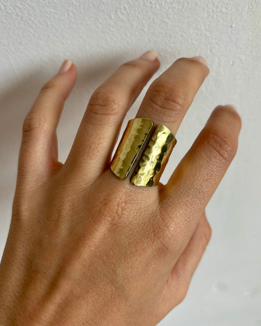 Anillo Pausa