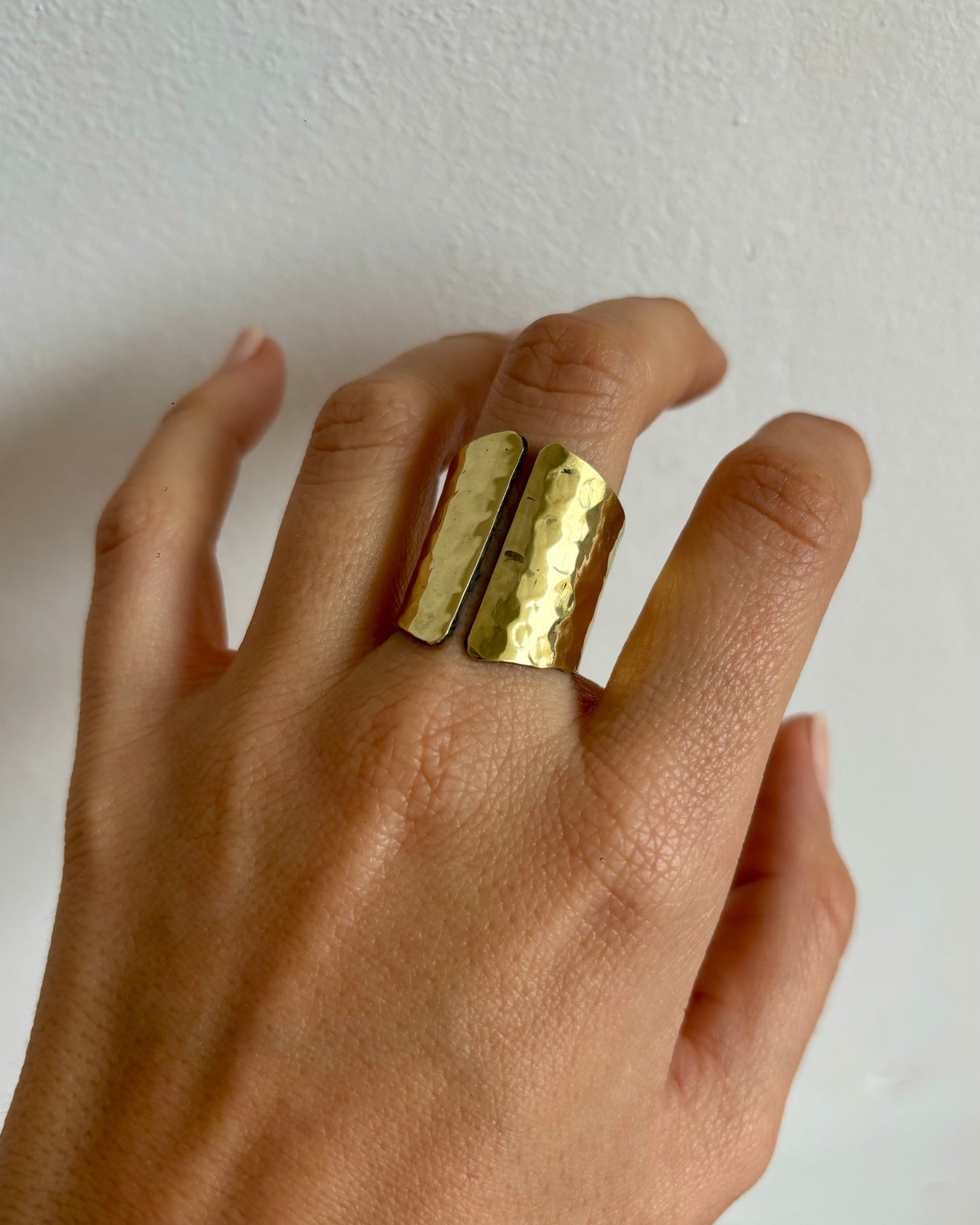 Anillo Pausa