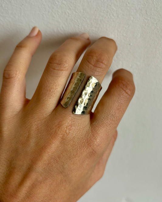 Anillo Pausa