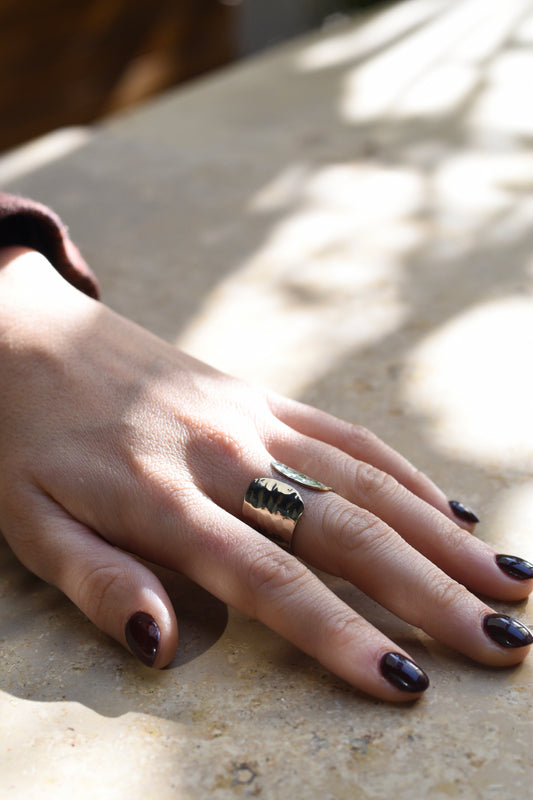 Anillo Pausa plateado